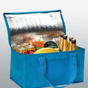 Rainham 12 Can Cooler Bag