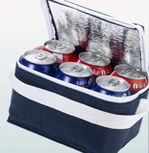 promotional cooler bags