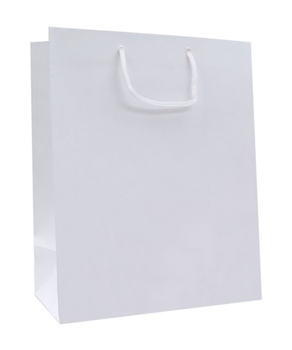 medium_white_gloss_laminated_bags-img201