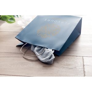Paper gift Bag with logo