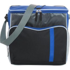 Polyester 600D cooler bag
