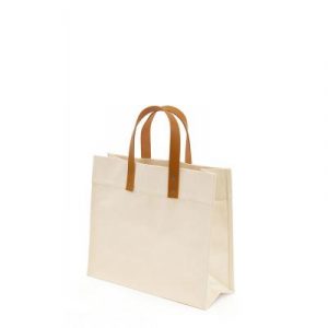 Fungo Canvas Bag