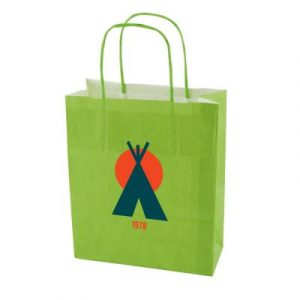 Paper bag 220 x 310 x 100 mm